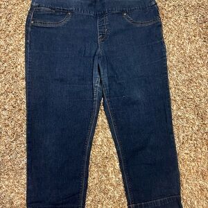 Style & Co Blue Capri Pants